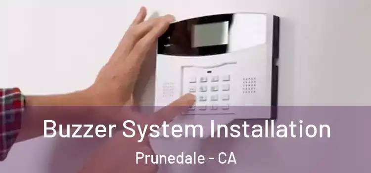 Buzzer System Installation Prunedale - CA