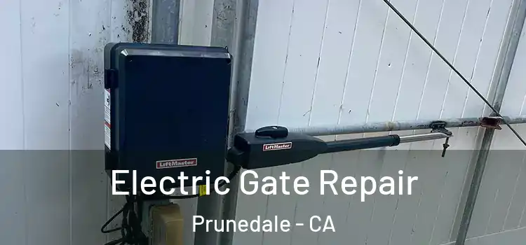 Electric Gate Repair Prunedale - CA