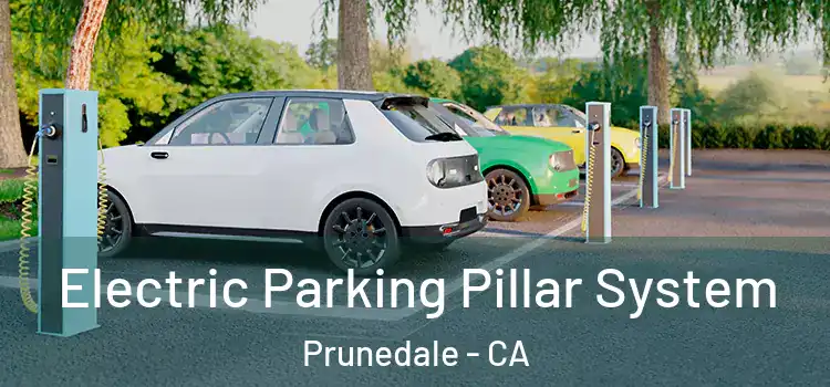 Electric Parking Pillar System Prunedale - CA