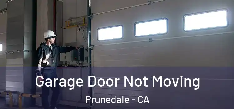  Garage Door Not Moving Prunedale - CA
