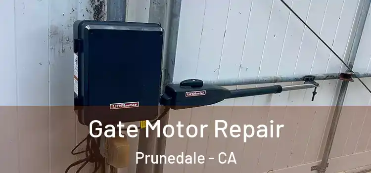 Gate Motor Repair Prunedale - CA