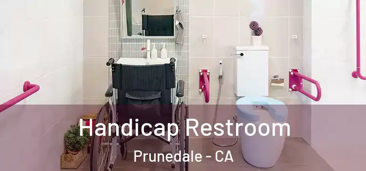Handicap Restroom Prunedale - CA