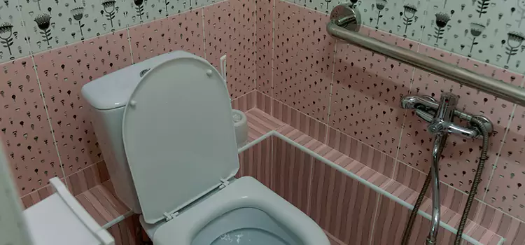 Meeting Diverse Needs With Accessible Restroom Solutions in Prunedale, CA