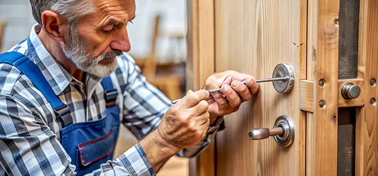 Mortise Replacement Lock Prunedale