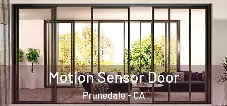 Motion Sensor Door Prunedale - CA