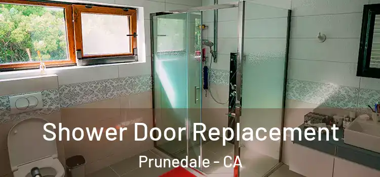 Shower Door Replacement Prunedale - CA